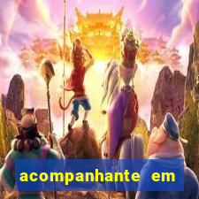 acompanhante em feira de santana